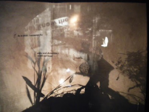 Photo by Laura Elands